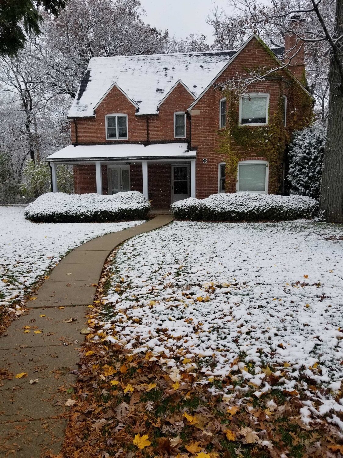 Home